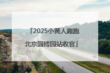 2025小黄人趣跑北京园博园站收官