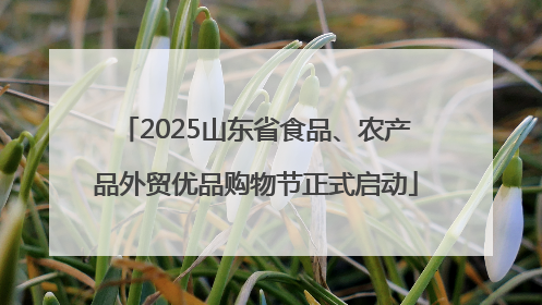 2025山东省食品、农产品外贸优品购物节正式启动