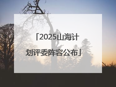 2025山海计划评委阵容公布
