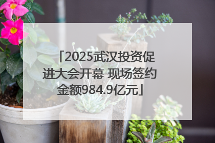2025武汉投资促进大会开幕 现场签约金额984.9亿元