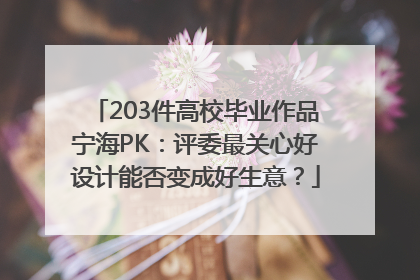 203件高校毕业作品宁海PK：评委最关心好设计能否变成好生意？