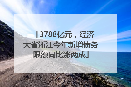3788亿元，经济大省浙江今年新增债务限额同比涨两成