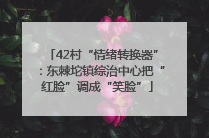 42村“情绪转换器”：东棘坨镇综治中心把“红脸”调成“笑脸”