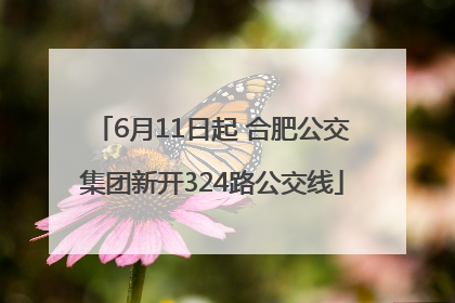 6月11日起 合肥公交集团新开324路公交线