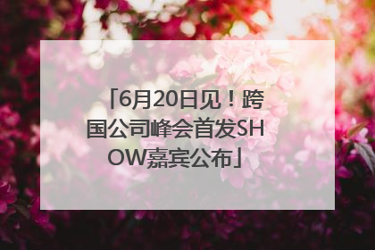 6月20日见！跨国公司峰会首发SHOW嘉宾公布