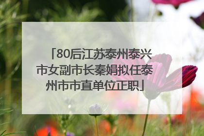 80后江苏泰州泰兴市女副市长秦娟拟任泰州市市直单位正职