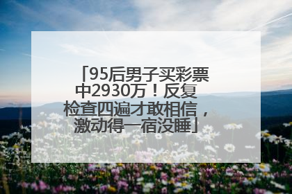 95后男子买彩票中2930万！反复检查四遍才敢相信，激动得一宿没睡
