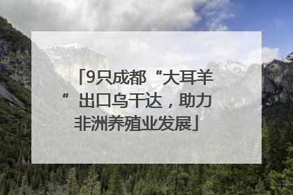 9只成都“大耳羊”出口乌干达，助力非洲养殖业发展
