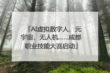 AI虚拟数字人、元宇宙、无人机……成都职业技能大赛启动