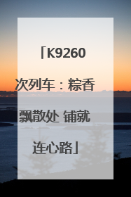 K9260次列车：粽香飘散处 铺就连心路