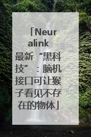 Neuralink最新“黑科技”：脑机接口可让猴子看见不存在的物体